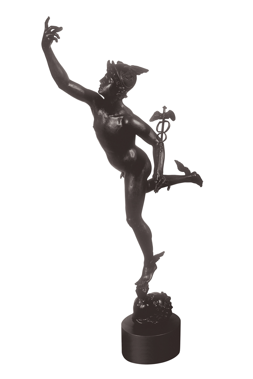 Mercurio (copia in gesso)