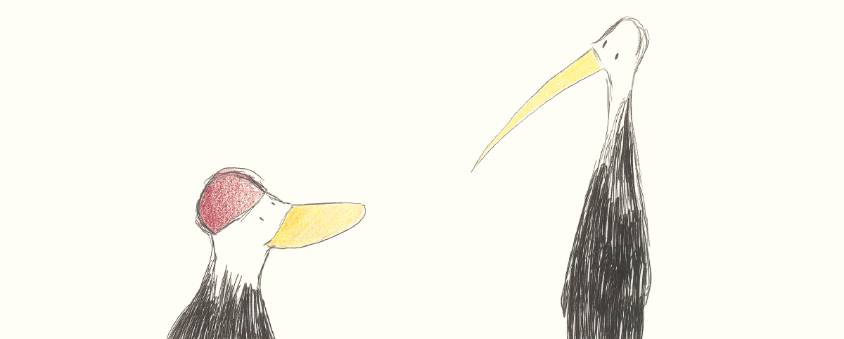 Due volatili illustrati dialogano. Illustrazione di Catherine Pineur.